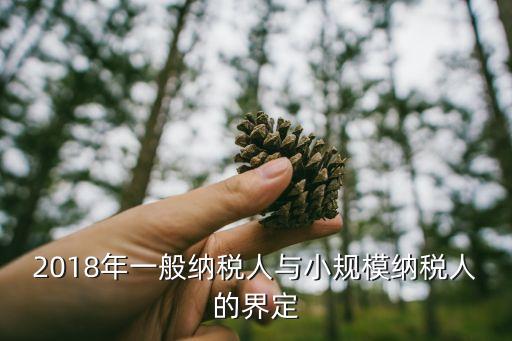 小規(guī)模納稅人證明，遵紀(jì)遵法經(jīng)營(yíng)納稅情況證明怎樣寫
