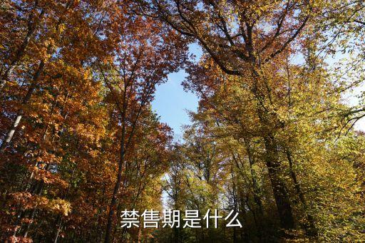 禁售期，新股禁售期