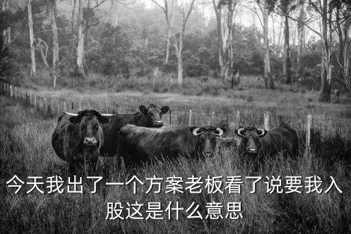 今天我出了一個(gè)方案老板看了說要我入股這是什么意思