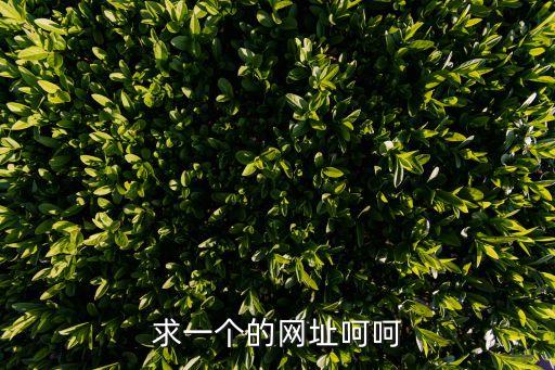 成人鏈接，我的網(wǎng)站兩性 wwwlulu123com外鏈三天前有四千四百多條后來調(diào)到