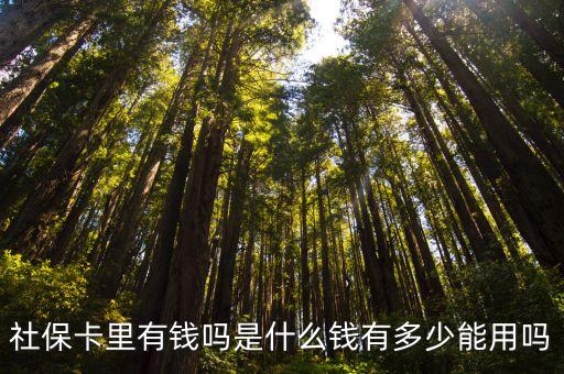社?？ɡ镉绣X嗎，剛發(fā)下來的社?？ɡ锩嬗绣X嗎