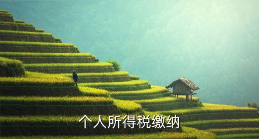 個人所得稅繳納
