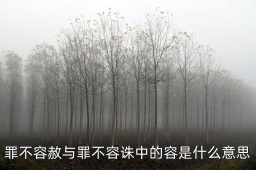 罪不容赦與罪不容誅中的容是什么意思