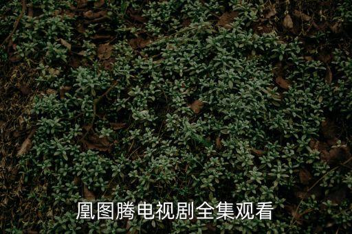 凰圖騰電視劇全集觀看