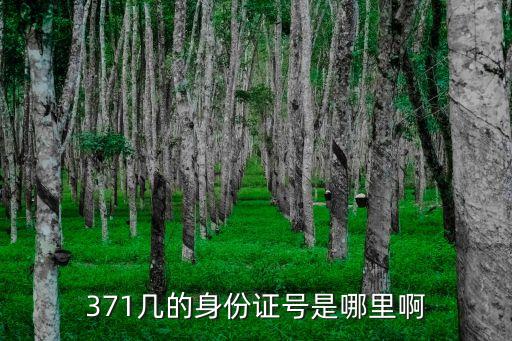 371幾的身份證號(hào)是哪里啊