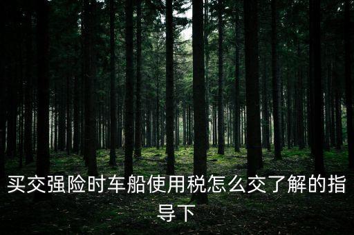 買交強(qiáng)險(xiǎn)時(shí)車船使用稅怎么交了解的指導(dǎo)下