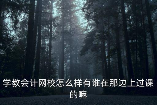 金玉萍，南京航標(biāo)財(cái)會(huì)的金玉萍老師好不好