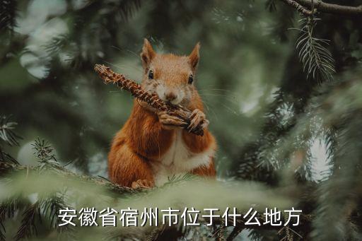 安徽省宿州市位于什么地方