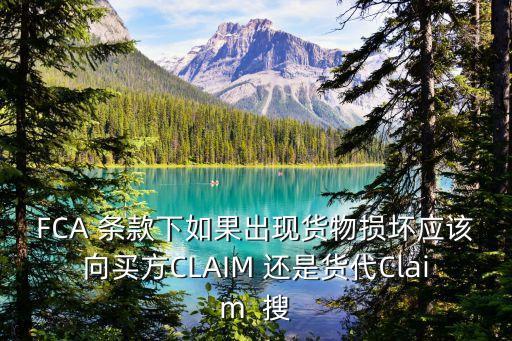 FCA 條款下如果出現(xiàn)貨物損壞應(yīng)該向買方CLAIM 還是貨代Claim  搜