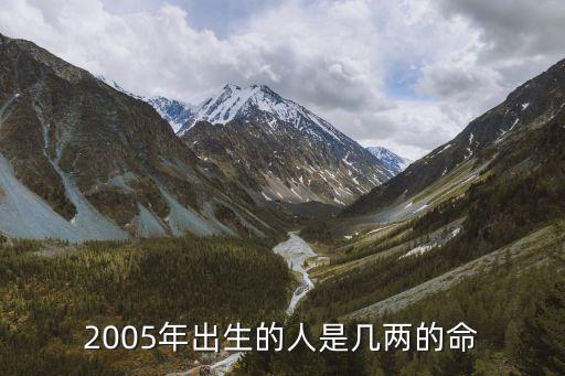 2005年出生的人是幾兩的命