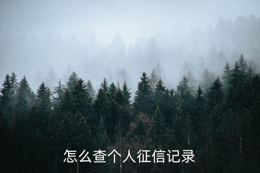 征信報(bào)告怎么查詢，如何查詢征信