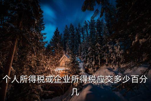 個人所得稅或企業(yè)所得稅應(yīng)交多少百分幾