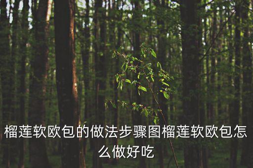 榴蓮軟歐包的做法步驟圖榴蓮軟歐包怎么做好吃