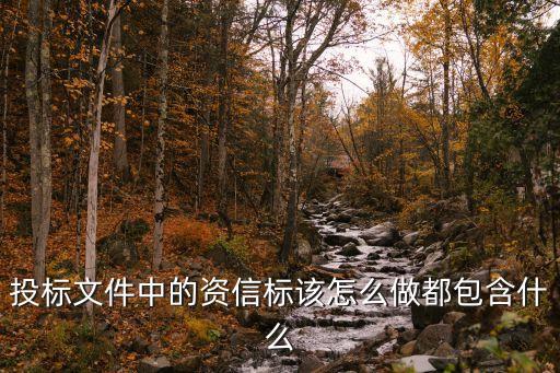 投標文件中的資信標該怎么做都包含什么