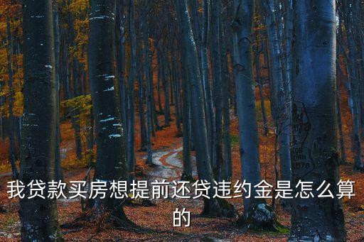 我貸款買房想提前還貸違約金是怎么算的