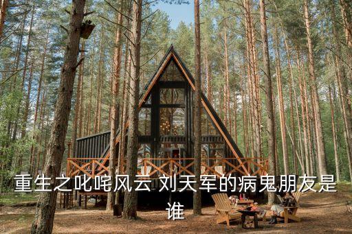 重生之叱咤風云 劉天軍的病鬼朋友是誰