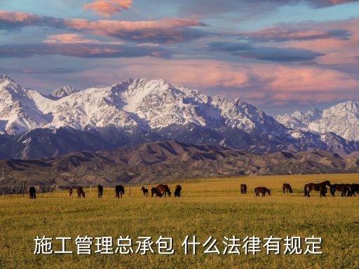施工管理總承包 什么法律有規(guī)定