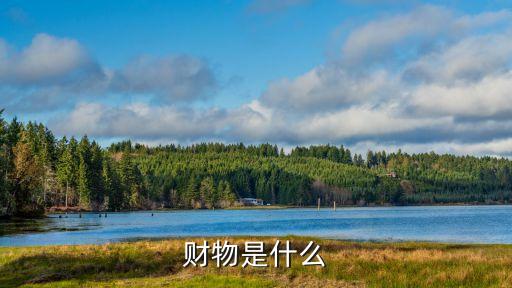 財(cái)物是什么