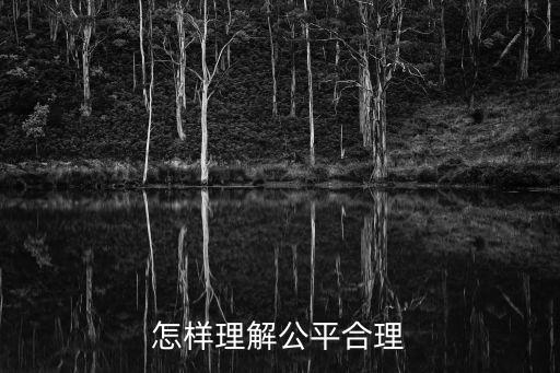 怎樣理解公平合理