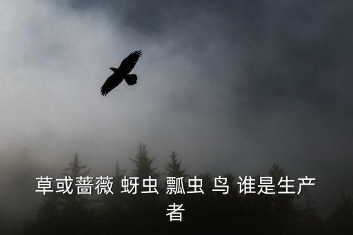 草或薔薇 蚜蟲 瓢蟲 鳥 誰是生產(chǎn)者