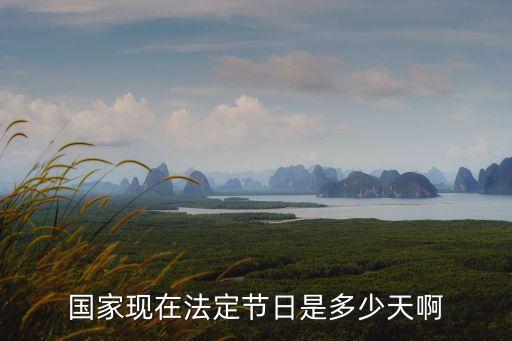 國家現(xiàn)在法定節(jié)日是多少天啊