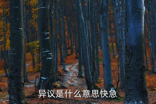 異議是什么意思快急