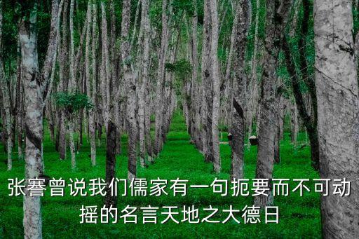 天地之大德曰生，張謇曾說我們?nèi)寮矣幸痪涠笠豢蓜訐u的名言天地之大德日