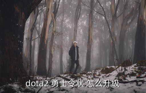 dota2 勇士令狀 怎么升級(jí)