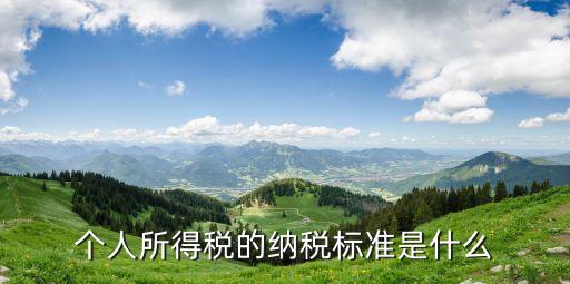 個人所得稅的納稅標(biāo)準(zhǔn)是什么