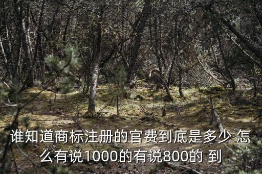誰知道商標(biāo)注冊的官費(fèi)到底是多少 怎么有說1000的有說800的 到
