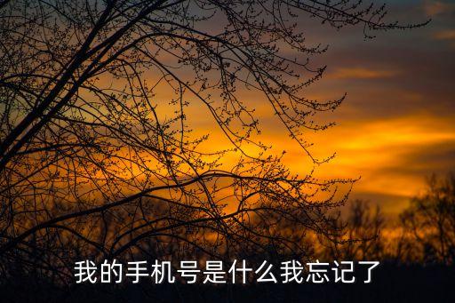 我的手機(jī)號是什么我忘記了