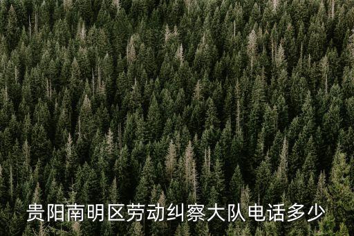 貴陽(yáng)勞動(dòng)局電話，貴陽(yáng)南明區(qū)勞動(dòng)糾察大隊(duì)電話多少