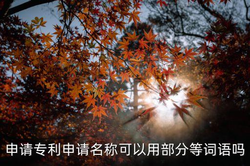 專(zhuān)利名稱(chēng)，可喜安獲得了國(guó)家知識(shí)產(chǎn)權(quán)局頒發(fā)的發(fā)明專(zhuān)利證書(shū)名稱(chēng)是什么