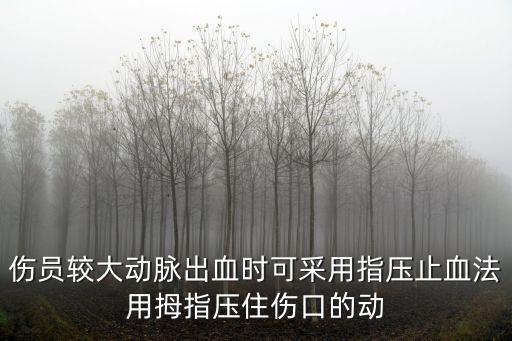 傷員較大動脈出血時可采用指壓止血法用拇指壓住傷口的動