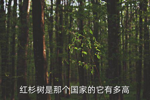 紅彬樹，紅杉樹是啥