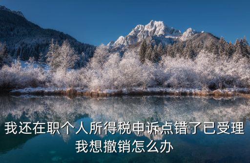 個稅申訴，個稅app上給做的工資點進去下面的申訴和刪除有什么區(qū)別