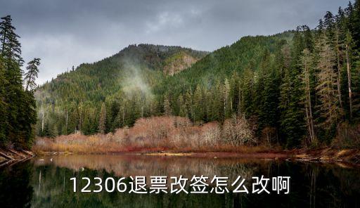 退票改簽，12306退票改簽怎么改啊
