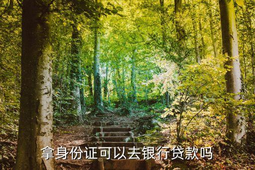 身份證可以貸款嗎，用身份證能貸款嗎