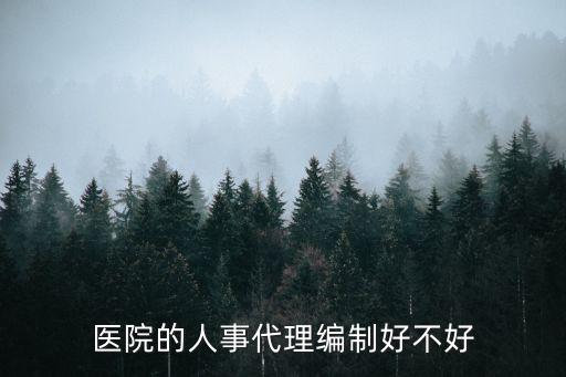 醫(yī)院的人事代理編制好不好