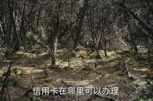 信用卡去哪里辦，信用卡到哪里辦