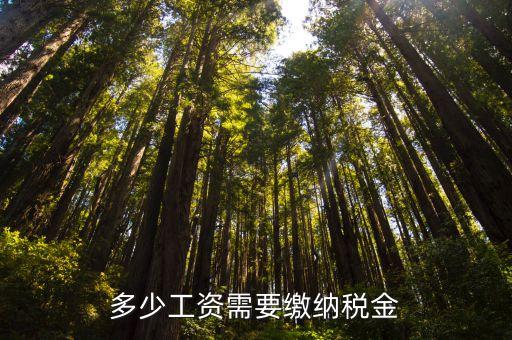 工資多少扣稅，拿多少工資要交稅