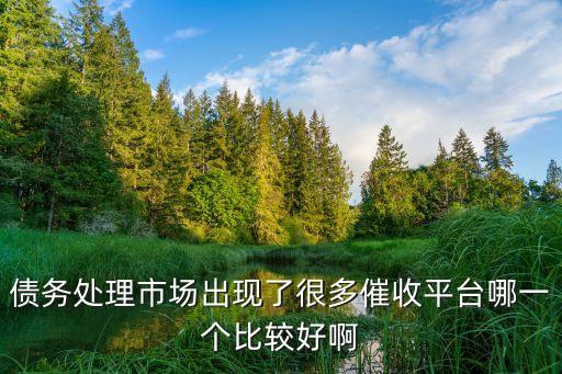 債務(wù)處理市場(chǎng)出現(xiàn)了很多催收平臺(tái)哪一個(gè)比較好啊