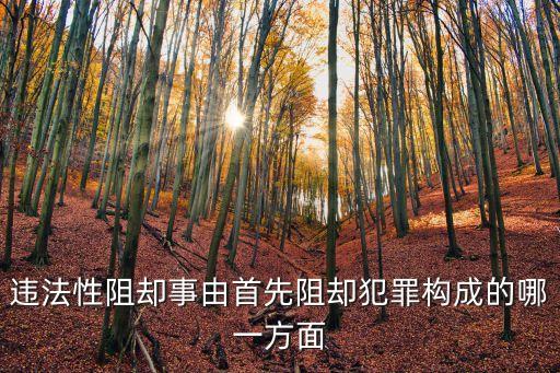 違法阻卻事由，違法性阻卻事由是指行為破壞了客觀的構(gòu)成要件嗎而有責(zé)性阻卻事由