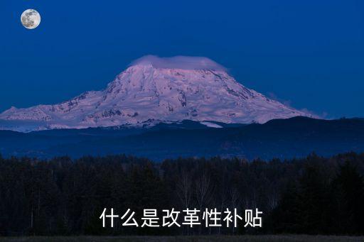 改革性補(bǔ)貼，什么是改革性補(bǔ)貼教師工資中的哪些屬于改革性補(bǔ)貼