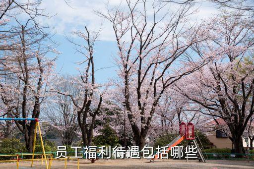 員工福利待遇包括哪些