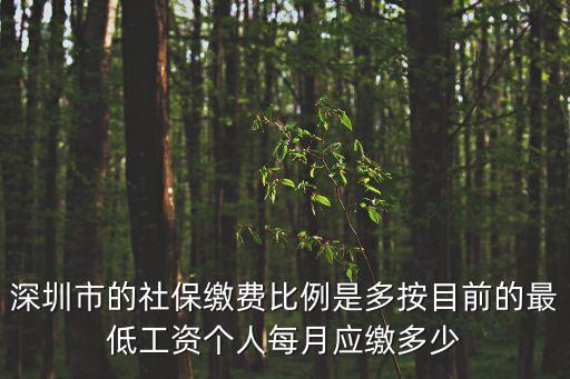 深圳市的社保繳費(fèi)比例是多按目前的最低工資個(gè)人每月應(yīng)繳多少