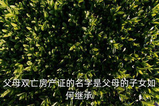父母雙亡房產(chǎn)證的名字是父母的子女如何繼承