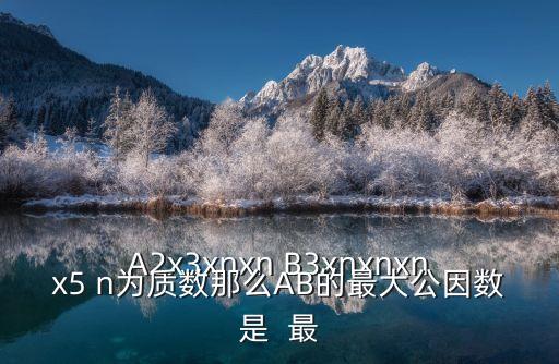 A2x3xnxn B3xnxnxnx5 n為質(zhì)數(shù)那么AB的最大公因數(shù)是  最