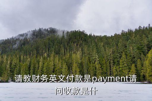 付款英文，付錢(qián) 英文單詞 怎么寫(xiě)
