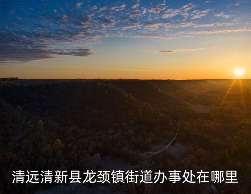 龍頸鎮(zhèn)，清遠(yuǎn)市清新縣最大的鎮(zhèn)
